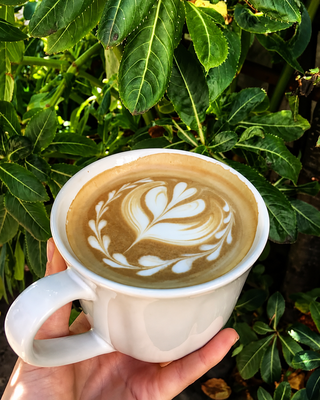 A white cup of latte art held among green leaves
